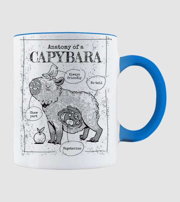 Anatomy of a Capybara model albastru deschis pe tricou