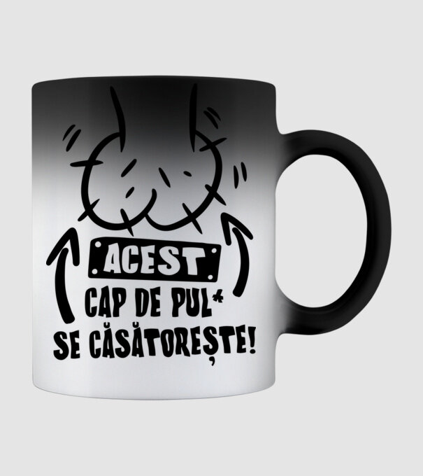 Acest - cap de pulă - se căsătorește! model negru pe tricou