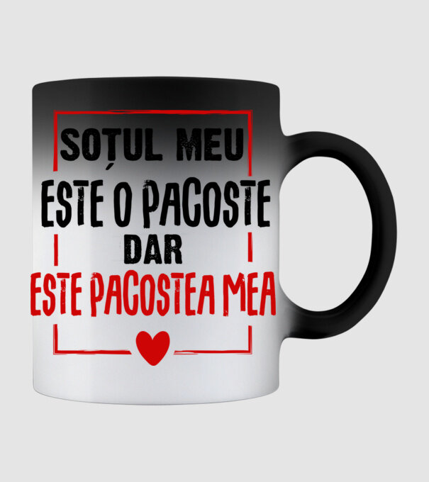 soțul meu este o pacoste model negru pe tricou