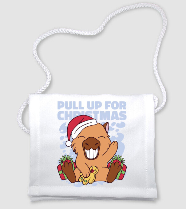 Pull up for christmas Capybara model alb pe tricou
