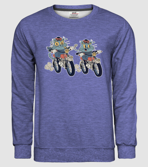 Pisicuțe motocicliste model albastru jeanși pe tricou