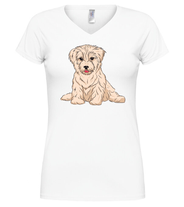  model  pe tricou