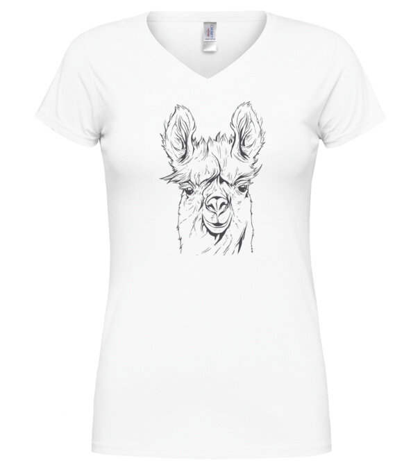  model  pe tricou