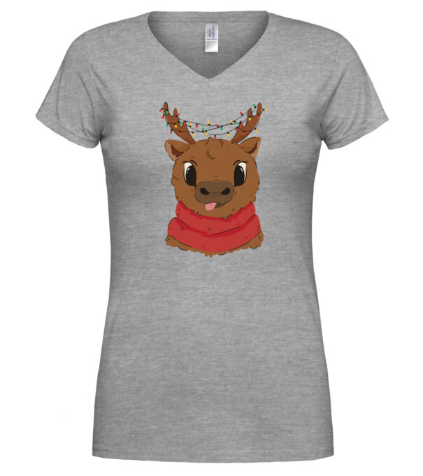  model  pe tricou