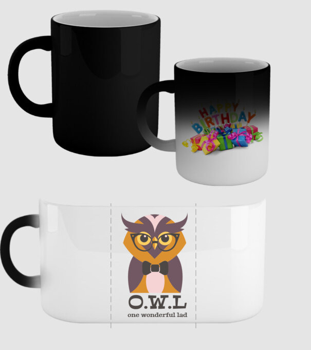 OWL - One wonderful Lad model negru pe tricou