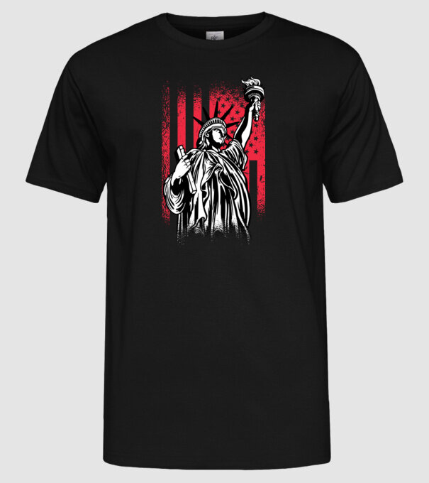SUA Statuia Libertății model negru pe tricou