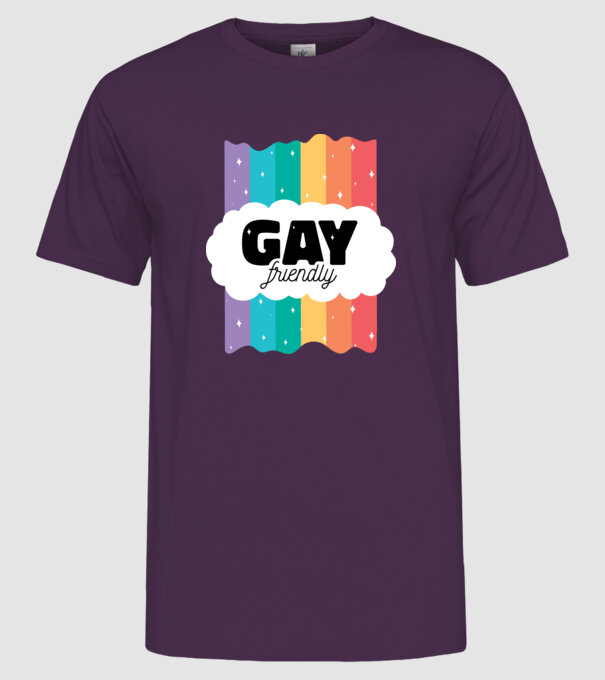 Gay friendly model mov pe tricou