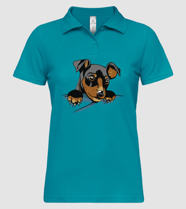 tricou drăguț câine în buzunar pentru iubitorii de câini model turcoaz pe tricou