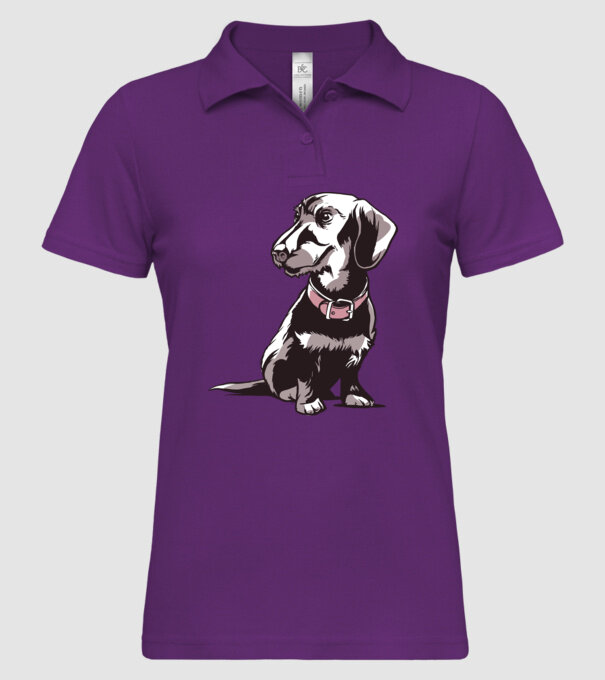 Teckel cu părul sârmos model mentă pe tricou