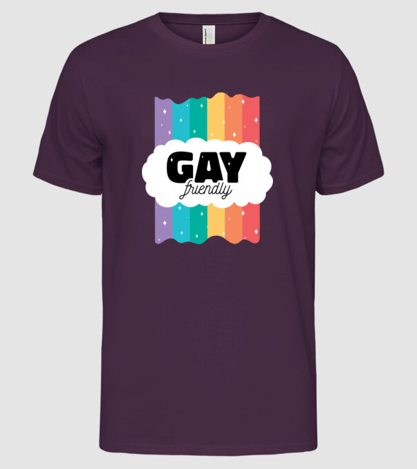 Gay friendly model mov pe tricou