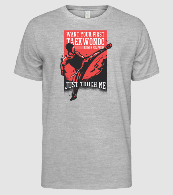 Lecție de Taekwondo model gri pe tricou