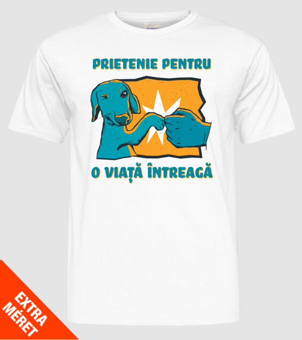Prietenie pentru o viață întreagă model alb pe tricou
