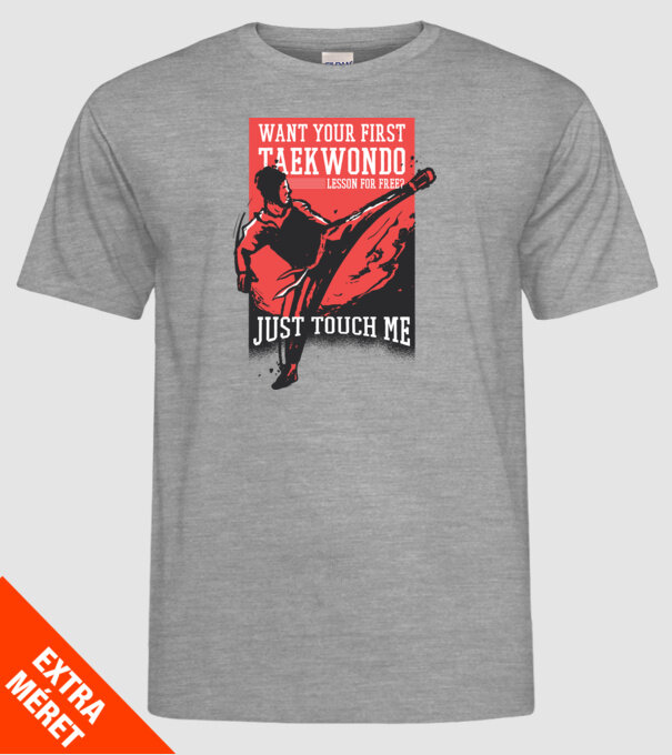 Lecție de Taekwondo model gri pe tricou
