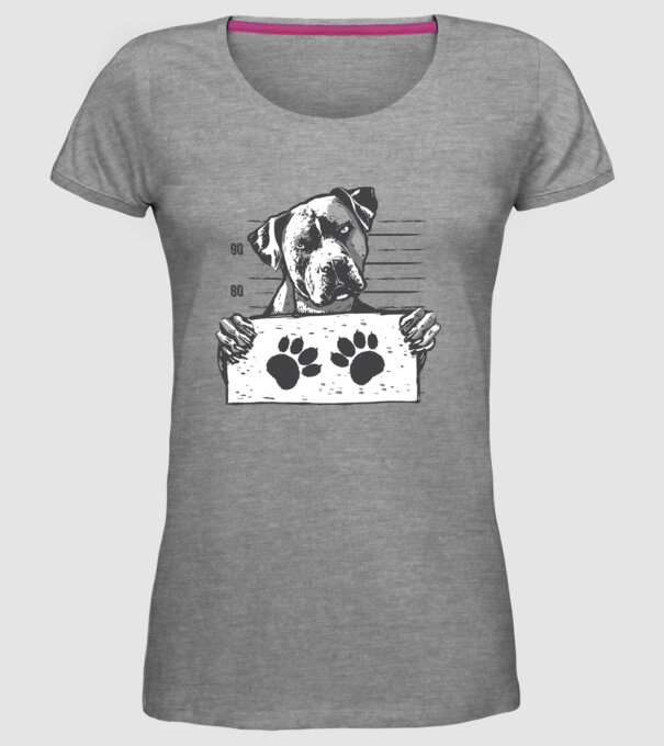 Staffordshire Terrier Închisoare model gri pe tricou