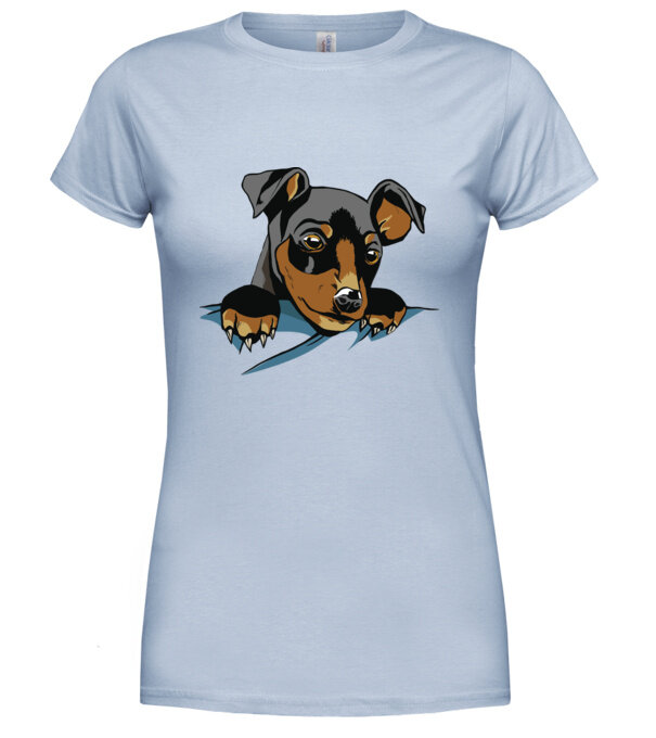  model  pe tricou