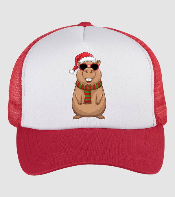 Crăciunul capybara model alb/roșu pe tricou