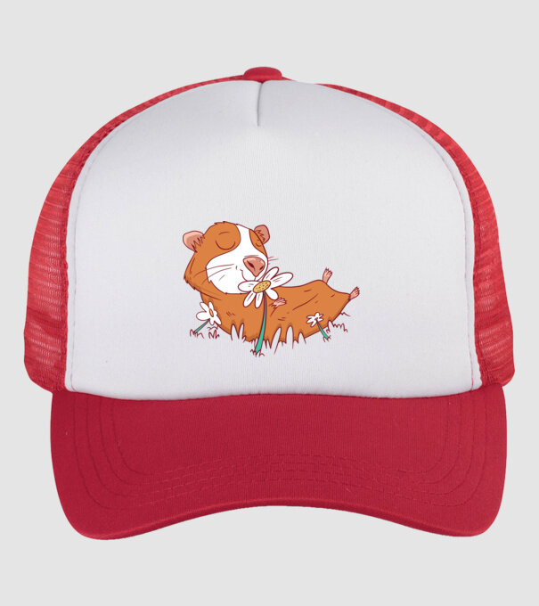 Porcușor de Guineea pe câmp model alb/roșu pe tricou