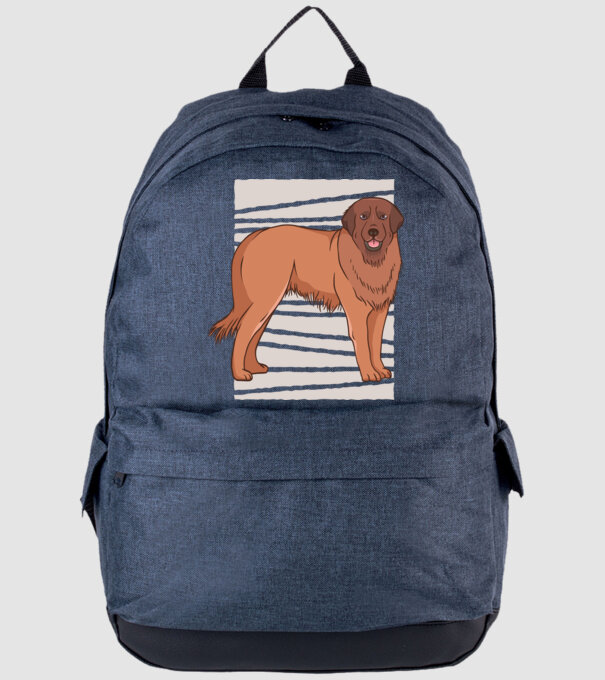 Câine ciobănesc Leonberg model albastru jeanși pe tricou