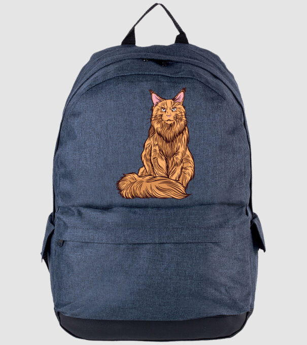 Pisică Maine Coon model albastru jeanși pe tricou