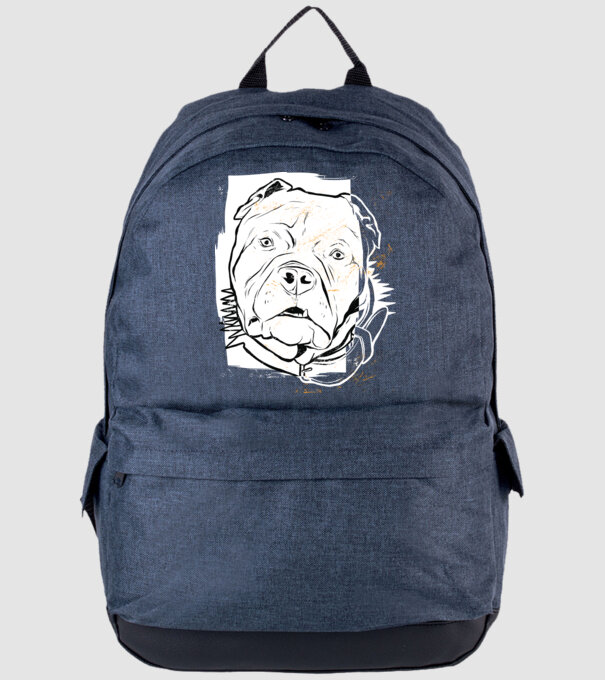 Cap Pitbull model albastru jeanși pe tricou