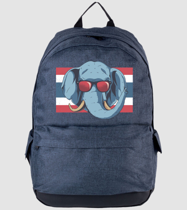 Thailanda Elefant tricou model albastru jeanși pe tricou
