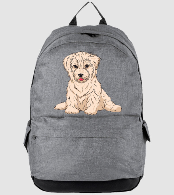 Câine Havanez model gri pe tricou
