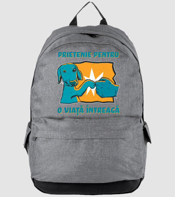 Prietenie pentru o viață întreagă model gri pe tricou