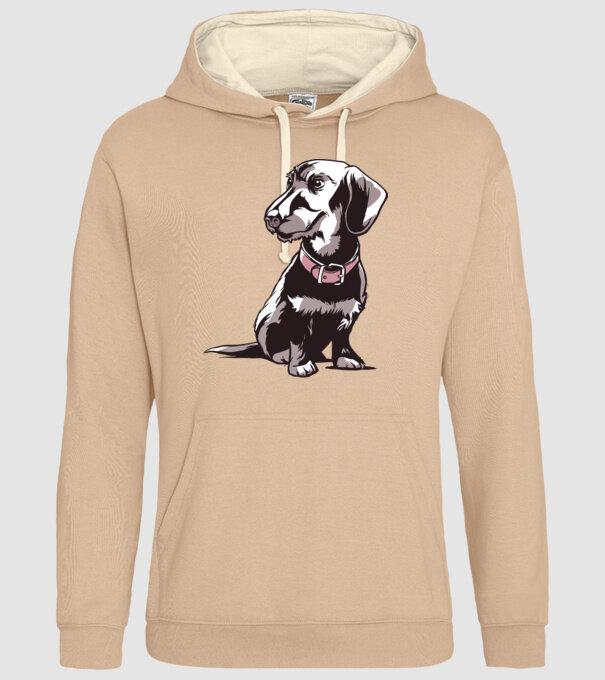 Teckel cu părul sârmos model nisipiu pe tricou