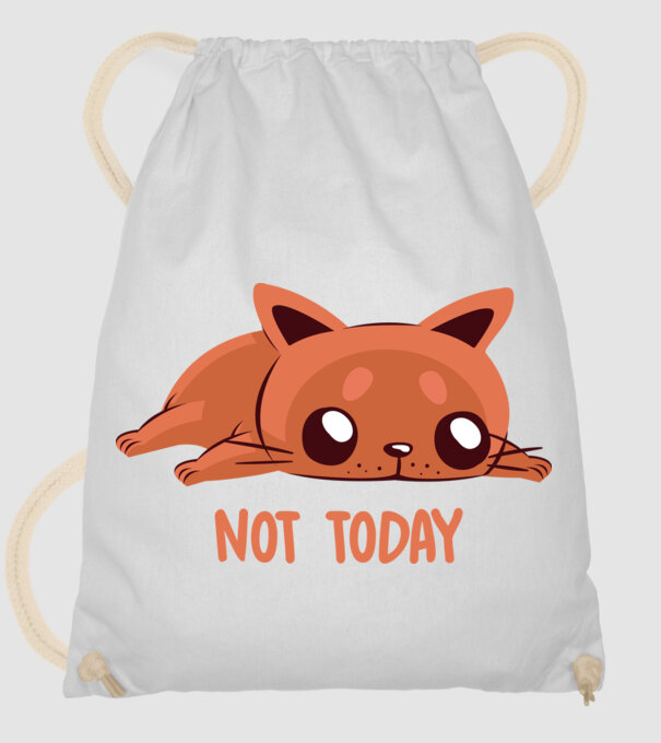 Not today pisică model alb pe tricou