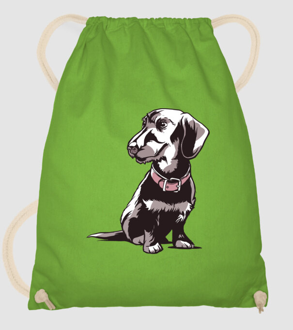 Teckel cu părul sârmos model verde de măr pe tricou