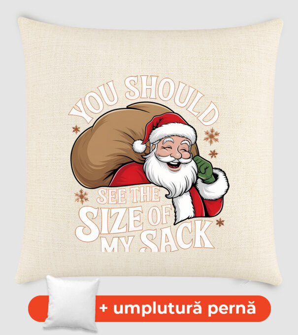 You Should See The Size Of My Sack Santa model nisipiu pe tricou