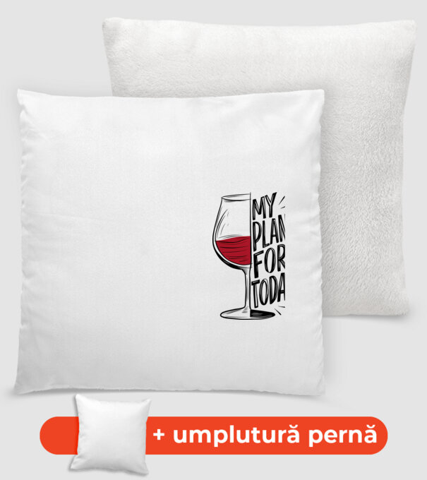 Wine Plans For Today Alb model alb pe tricou